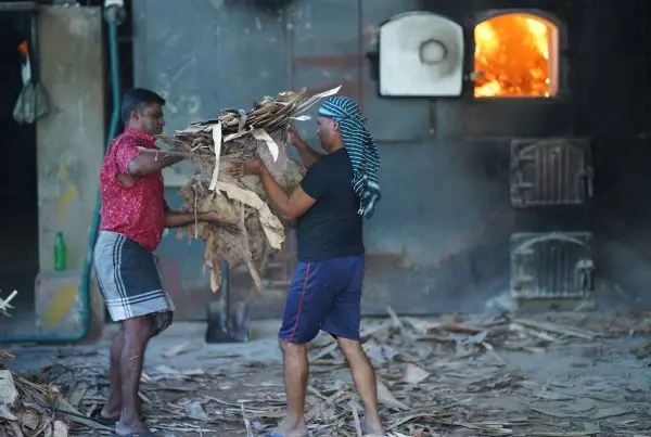 Migrants workers working hard